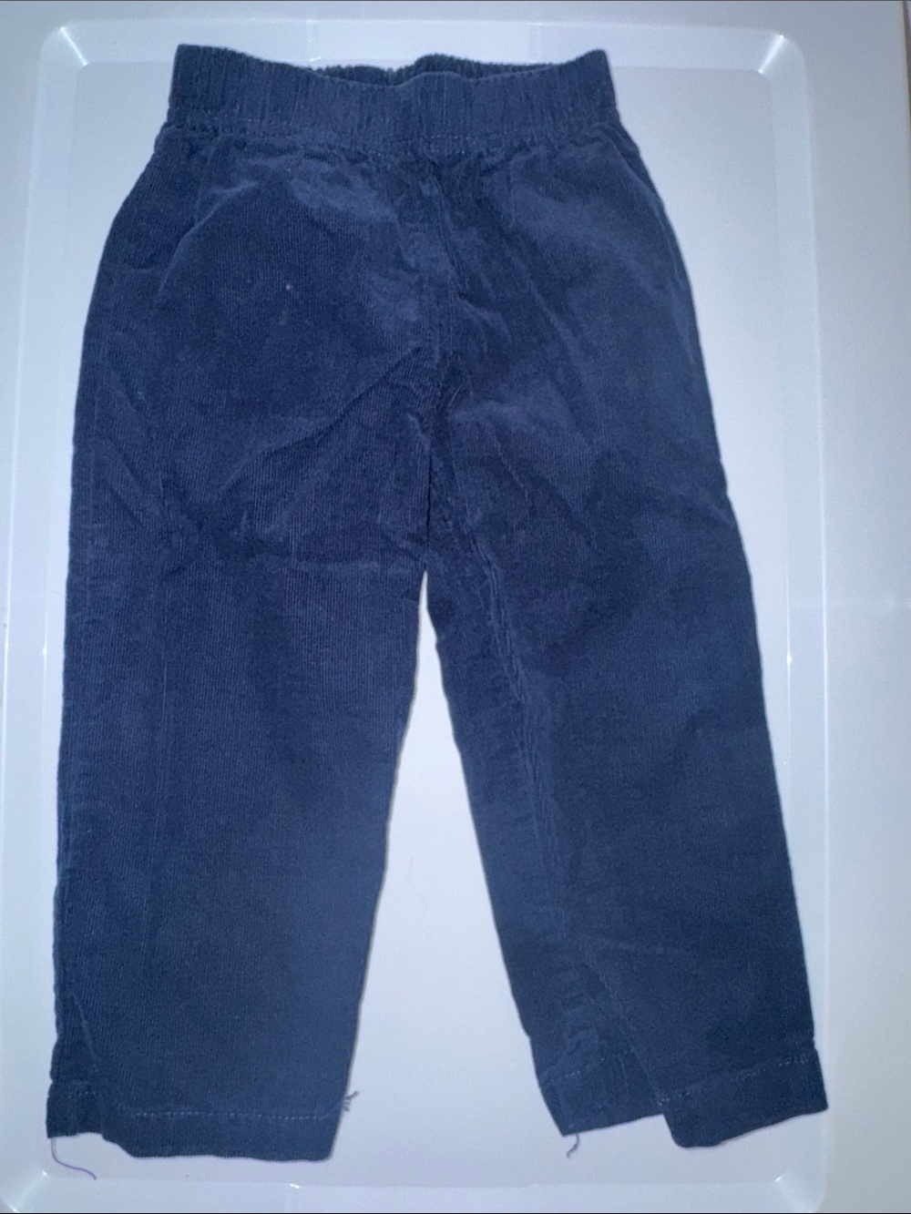 Navy Corduroy Elastic Waist Pants